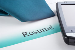 executive search resume